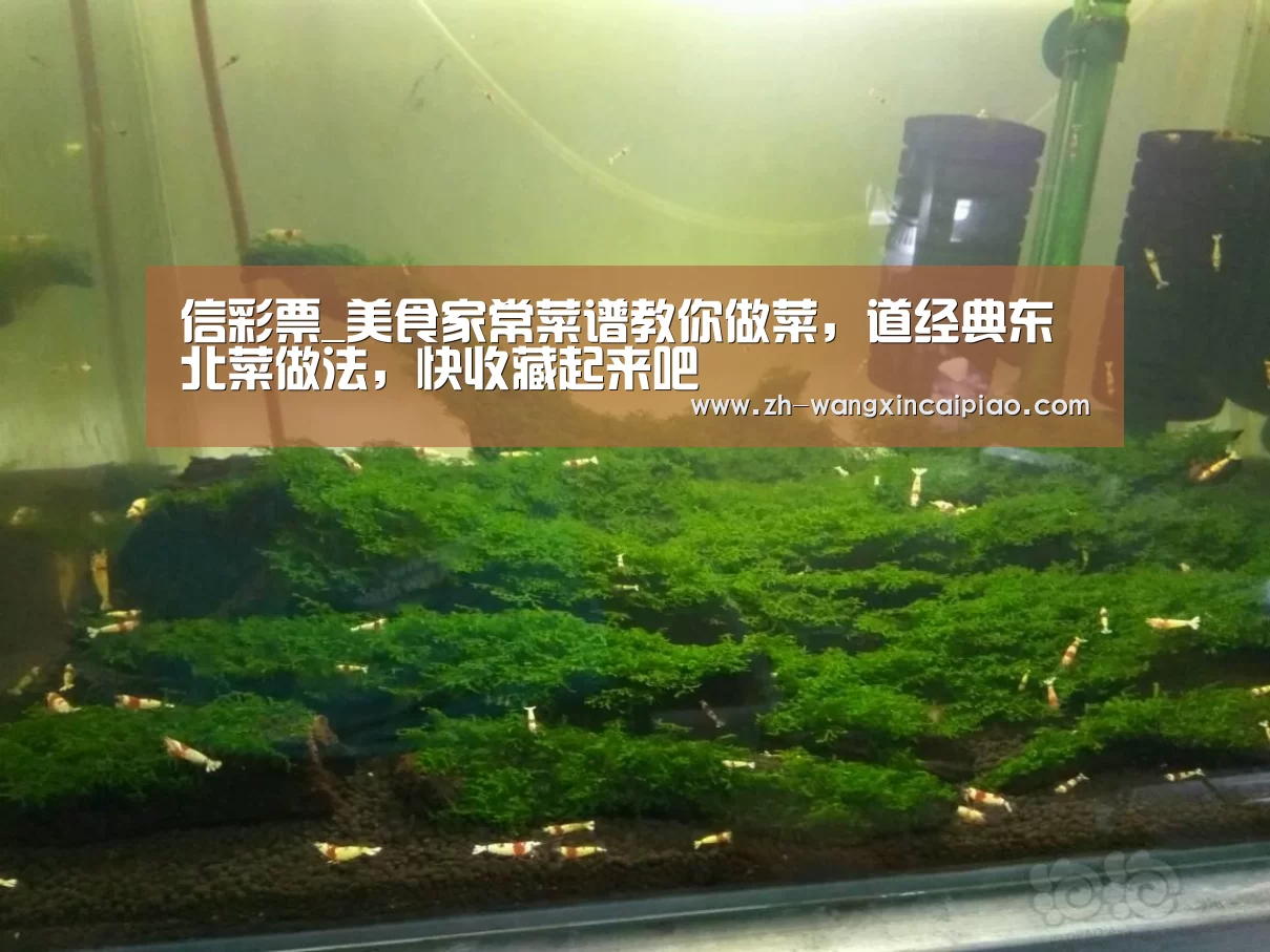 信彩票_美食家常菜谱教你做菜,道经典东北菜做法,快收藏起来吧(图1) 信彩票
